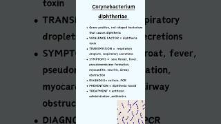 Corynebacterium diphtheriae [upl. by Vano]