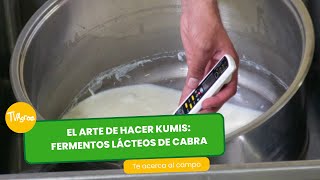 El arte de hacer kumis fermentos lácteos de cabra  TvAgro por Juan Gonzalo Angel Restrepo [upl. by Nairod]