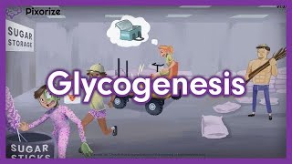 Glycogenesis Mnemonic for USMLE [upl. by Crescantia74]