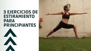 Comienza a mejorar tu flexibilidad con 3 estiramientos esenciales [upl. by Ot538]