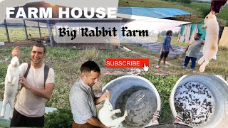 Rabbit Farm near Nalgonda amp Fish Farming Plans and planning for giveaway 🎁 fishfarming hindi [upl. by Pelagi313]