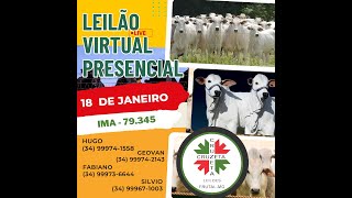 LEILÃO Virtual e Presencial da Cruzeta Leilões  Frutal  MG  Dia 18012024 [upl. by Aneda]