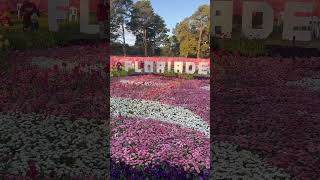 Beautiful Floriade 2024 shorts video [upl. by Conias261]