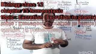 Excretion Excretion in plants class 12  chapter 15 homeostasisBiology part 2 [upl. by Dranel]