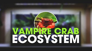 🦀 I MADE A PALUDARIUM FOR VAMPIRE CRABS STEP BY STEP GUIDE [upl. by Akym22]