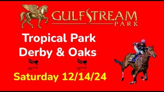 Gulfstream Park Sat 1214 Selections  All Races [upl. by Karlene]