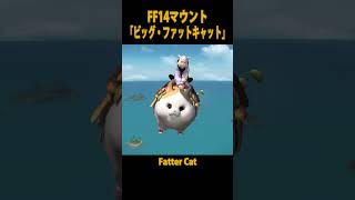 【FF14マウント】「ビッグ・ファットキャット Fatter Cat」 shorts short [upl. by Naux]