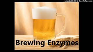 Beer Brewing Enzymes Suppliers Glucoamylase Thermostable α–Amylase for Brewing [upl. by Iuq]