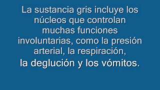 Funciones encefalicas1wmv [upl. by Haidabez]