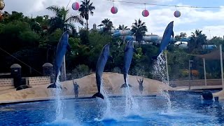 ❤️ AQUALAND WATERPARK at COSTA ADEJE SPAIN [upl. by Mintun]