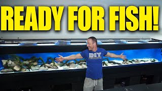 16 foot AQUARIUM is COMPLETE and ready for fish The king of DIY [upl. by Nageem]