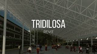 Como hacer una Tridilosa  Revit [upl. by Lindberg33]