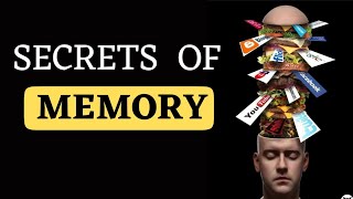 The Mysteries of Memory  How do we Remember and Forget  Atkinson and Shiffrin Memory Model [upl. by Silas]