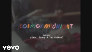 Cosmos Midnight  Lowkey Visual ft Buddy Jay Prince [upl. by Atsirhcal]