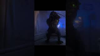 Predator Devourers show Stealth Freefall Demolition and Mental Anguish 4K edit predator2 wolf [upl. by Nairred]