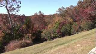 Amicalola Falls State Park  The Fall Colors [upl. by Dyke]