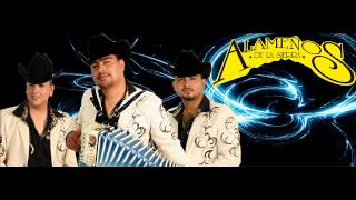 ANDO BIEN ARREGLADO Y CUMBIAS EN VIVO BY ALAMEÑOS DE LA SIERRA [upl. by Anilag258]