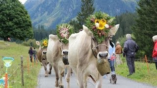 Alpabzug Klosters 14092013 [upl. by Mylo142]