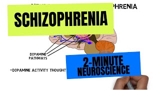 2Minute Neuroscience Schizophrenia [upl. by Thenna]