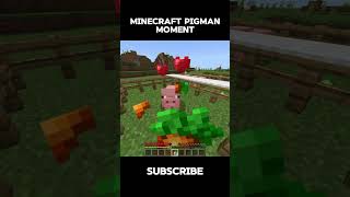 Minecraft Pigman Moment [upl. by Gensler]