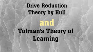 Drive Reduction Theory by Hull and Tolmans Theory of Learning [upl. by Lavinie]