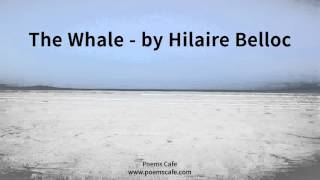 The Whale by Hilaire Belloc [upl. by Stacey322]