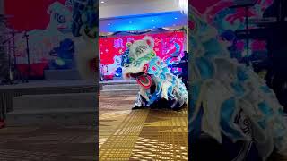 Lion Dance performance [upl. by Yanehc]