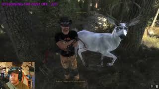 Albino Mule deer NO its Dilute  Thanks Treekiwi for 500Rare EMSPart2 [upl. by Oicaroh]