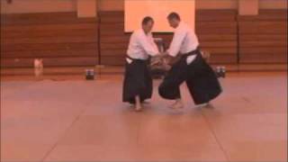 Aikido Reversals [upl. by Nylsaj]