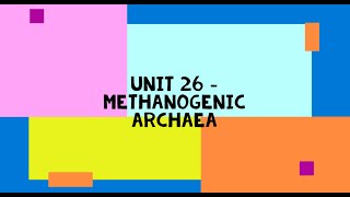 Methanogenic Archaea [upl. by Oneida734]