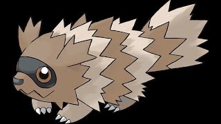 Zigzagoon [upl. by Toole]