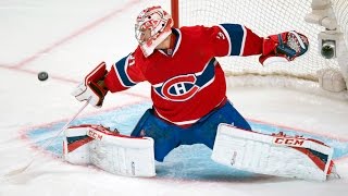 Best Saves in NHL History [upl. by Meraree300]