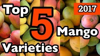 Truly Tropicals Top 5 Mango Varieties for 2017 [upl. by Zanze587]