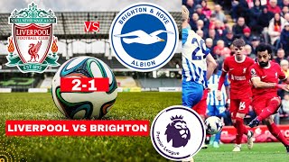 Liverpool vs Brighton 21 Live Stream Premier League Football EPL Match Score 2024 Highlights Vivo [upl. by Nivan]