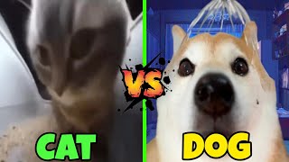 Chipi Chipi Chapa Chapa Cat VS Dog [upl. by Airdnat]