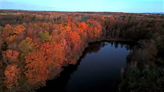 Sunrise Bøgeholm sø craws in morning flight 4K [upl. by Barden]