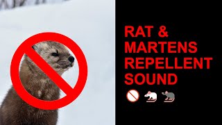 ⚠️ High Pitch Wall Penetration Mouse Rat Mice Ultra Sounic Repellent Sound 10 HOURS  WORKING [upl. by O'Brien]