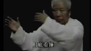 Fu Zhong Wen Yang Family Tai Chi Long Form part 1 [upl. by Terry929]