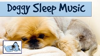 Music for Dogs to go to Sleep Dog Anxiety Treatment [upl. by Marentic927]