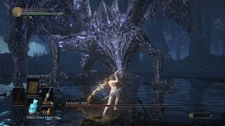 Lightning Exile Greatsword vs Darkeater Midir [upl. by Aihc]