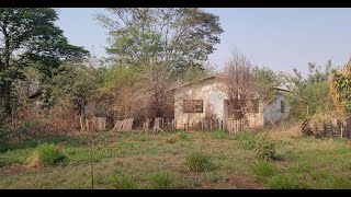 COLONIA COM VARIAS CASAS ABANDONADAS LOCAL DIFERENCIADO [upl. by Ramonda374]