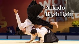 Aikido Highlight  Shirakawa Ryuji sensei [upl. by Sawyere]