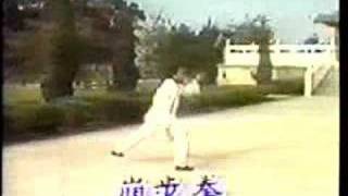 Peng Lai Brasil Shifu Shi Zheng Zhong  Beng Bu Quan [upl. by Noillid]