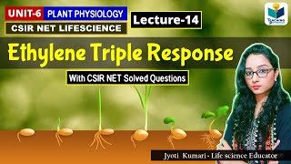 ETHYLENE TRIPLE RESPONSE PHYTOHORMONE PART14 CSIR NET PLANT BIOLOGY [upl. by Rheims]