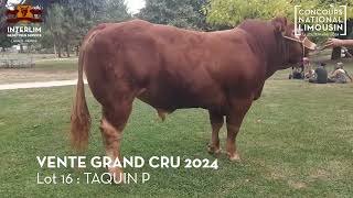 LOT 16  TAQUIN P  Vente Grand Cru 2024 [upl. by Mushro]