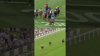 Winx vs Frankel Goosebumps 🙌🏻 shorts [upl. by Seward]