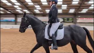 Novice 1  New British Dressage Test  64 [upl. by Tehr726]