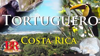 Parque Nacional Tortuguero un Paraíso en el Caribe de Costa Rica [upl. by Duster]