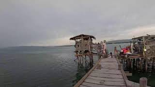 Floyd Pelican Bar  St Elizabeth Jamaica 🇯🇲 [upl. by Sivam153]