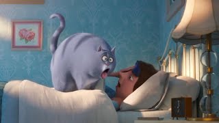 The Secret Life Of Pets 2 610  How to be a cat  Cartoon For Kids [upl. by Ikcin]